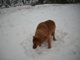 2010-01-15/DSCI5505.JPG