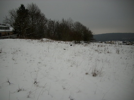 2010-01-15/DSCI5507.JPG