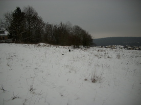 2010-01-15/DSCI5508.JPG