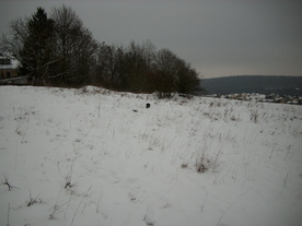 2010-01-15/DSCI5509.JPG