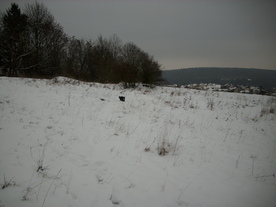 2010-01-15/DSCI5510.JPG