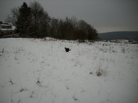 2010-01-15/DSCI5511.JPG
