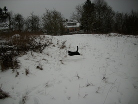 2010-01-15/DSCI5512.JPG