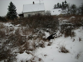 2010-01-15/DSCI5513.JPG