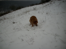 2010-01-15/DSCI5514.JPG