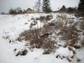2010-01-15/DSCI5515.JPG