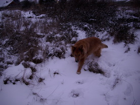 2010-01-15/DSCI5516.JPG