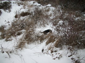 2010-01-15/DSCI5517.JPG