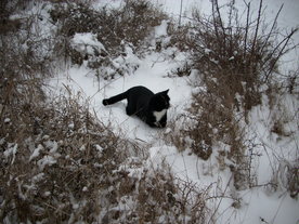 2010-01-15/DSCI5518.JPG