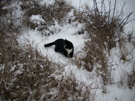 2010-01-15/DSCI5519.JPG