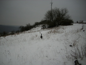 2010-01-15/DSCI5520.JPG