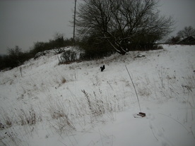 2010-01-15/DSCI5521.JPG