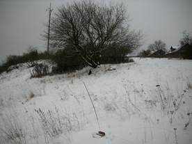 2010-01-15/DSCI5522.JPG