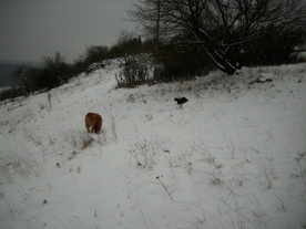 2010-01-15/DSCI5525.JPG