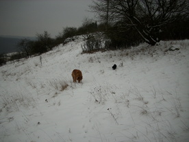 2010-01-15/DSCI5527.JPG