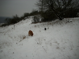 2010-01-15/DSCI5528.JPG