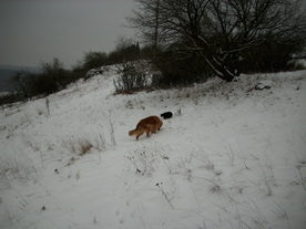 2010-01-15/DSCI5529.JPG