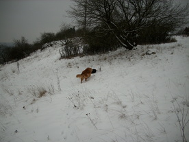 2010-01-15/DSCI5530.JPG