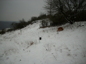 2010-01-15/DSCI5532.JPG