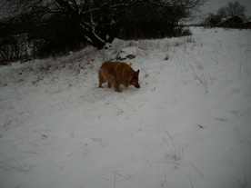 2010-01-15/DSCI5533.JPG