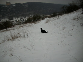 2010-01-15/DSCI5534.JPG