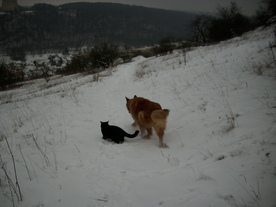 2010-01-15/DSCI5535.JPG