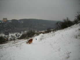2010-01-15/DSCI5537.JPG