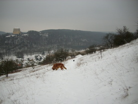 2010-01-15/DSCI5538.JPG