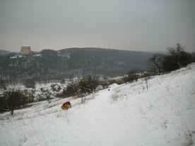 2010-01-15/DSCI5539.JPG