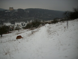 2010-01-15/DSCI5542.JPG