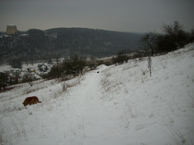 2010-01-15/DSCI5543.JPG