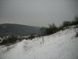 2010-01-15/DSCI5544.JPG