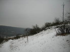 2010-01-15/DSCI5545.JPG