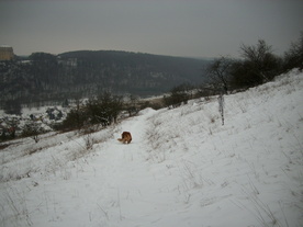 2010-01-15/DSCI5546.JPG