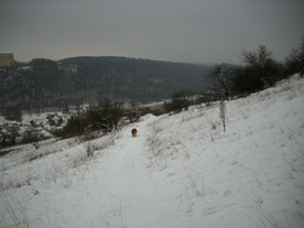 2010-01-15/DSCI5547.JPG