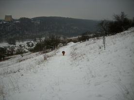 2010-01-15/DSCI5549.JPG