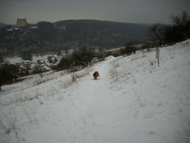 2010-01-15/DSCI5550.JPG