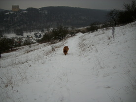 2010-01-15/DSCI5551.JPG