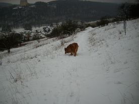 2010-01-15/DSCI5552.JPG