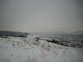 2010-01-15/DSCI5553.JPG
