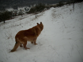 2010-01-15/DSCI5555.JPG