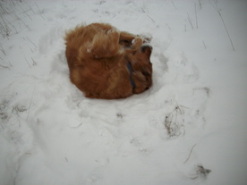 2010-01-15/DSCI5557.JPG