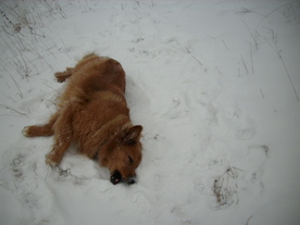 2010-01-15/DSCI5558.JPG