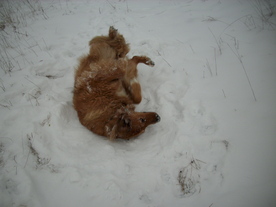 2010-01-15/DSCI5559.JPG