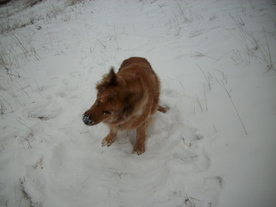 2010-01-15/DSCI5560.JPG