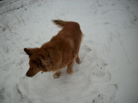 2010-01-15/DSCI5561.JPG