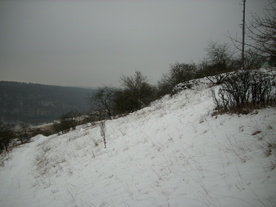 2010-01-15/DSCI5562.JPG