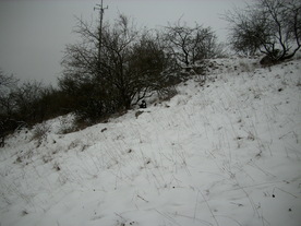 2010-01-15/DSCI5563.JPG