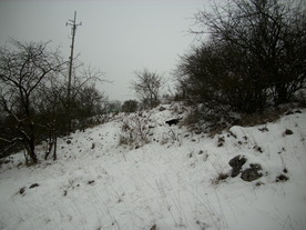 2010-01-15/DSCI5566.JPG