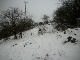2010-01-15/DSCI5567.JPG